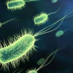 Sfârşitul medicinei: a fost descoperită o superbacterie rezistentă la TOATE antibioticele cunoscute